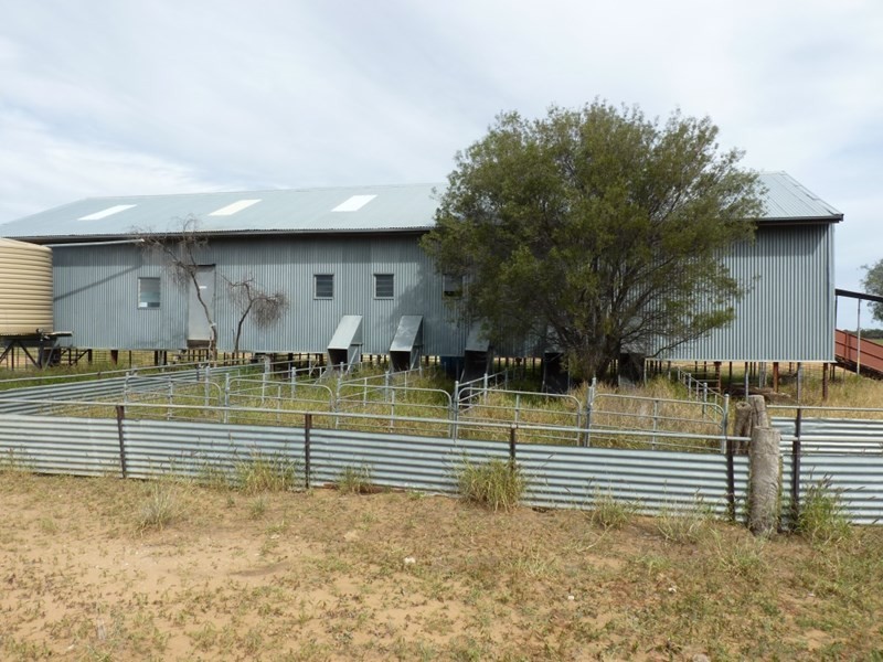 0 HEBEL GOODOOGA Road, Goodooga NSW 2831 Ray White Rural St