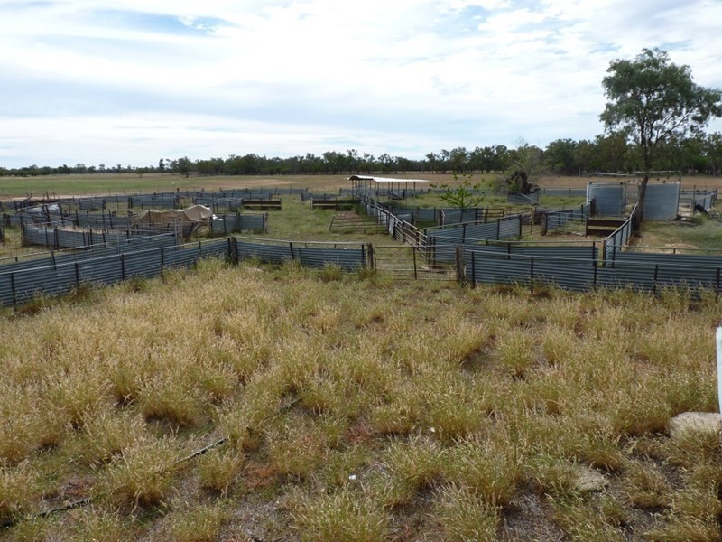 0 HEBEL – GOODOOGA Road, Goodooga NSW 2831