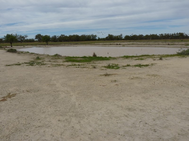 0 HEBEL – GOODOOGA Road, Goodooga NSW 2831