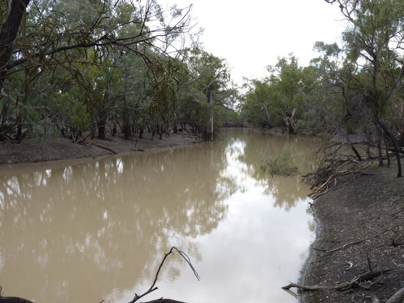 0 HEBEL – GOODOOGA Road, Goodooga NSW 2831