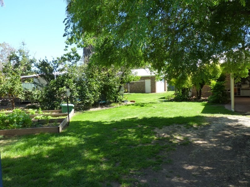 6 Murchison Street, St George QLD 4487