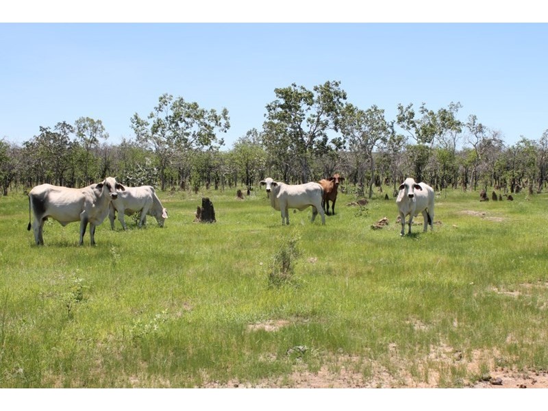 . Access Road, Croydon QLD 4871