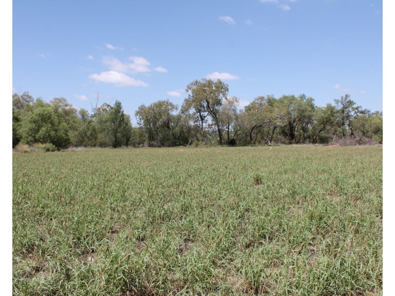 6-8 Dyball Street, St George QLD 4487