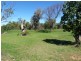 610 Castlereagh Highway, St George QLD 4487