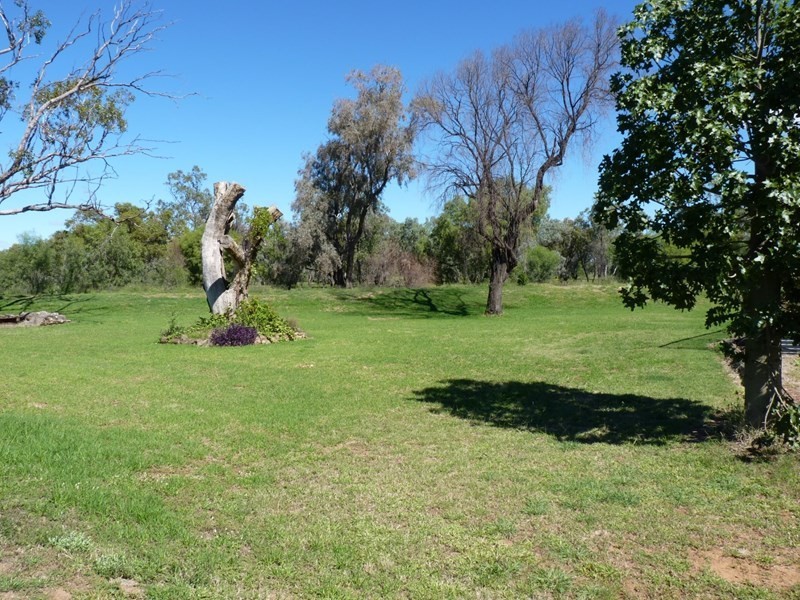 610 Castlereagh Highway, St George QLD 4487
