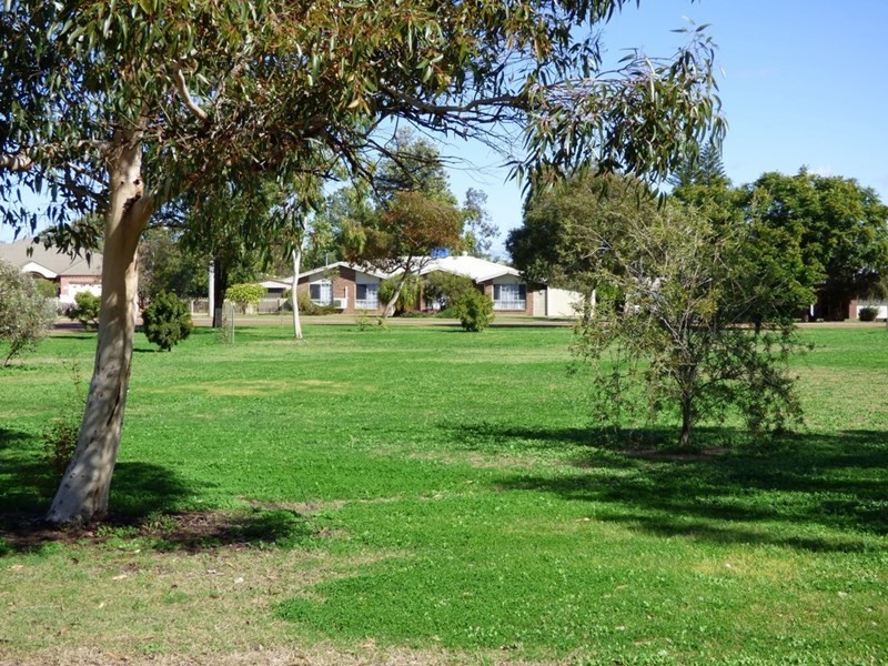 16 Cutler Court, St George QLD 4487