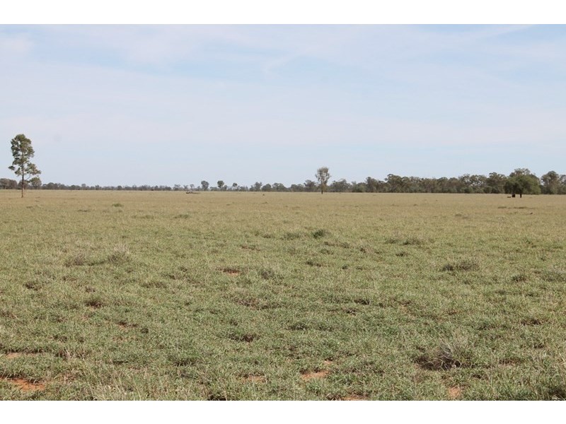 . HONEYMAH Lane, Dirranbandi QLD 4486