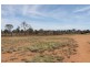 . HONEYMAH Lane, Dirranbandi QLD 4486