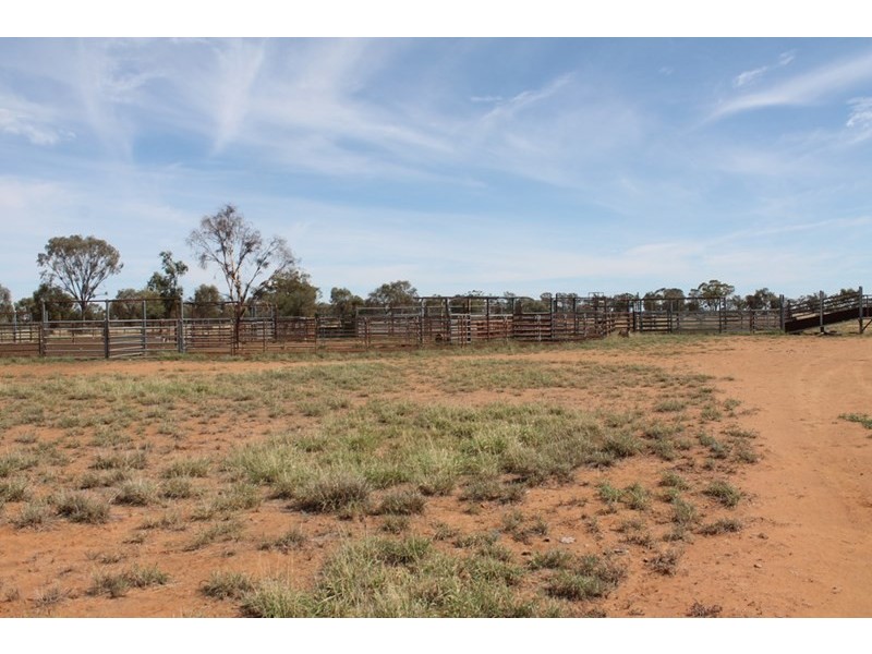 . HONEYMAH Lane, Dirranbandi QLD 4486