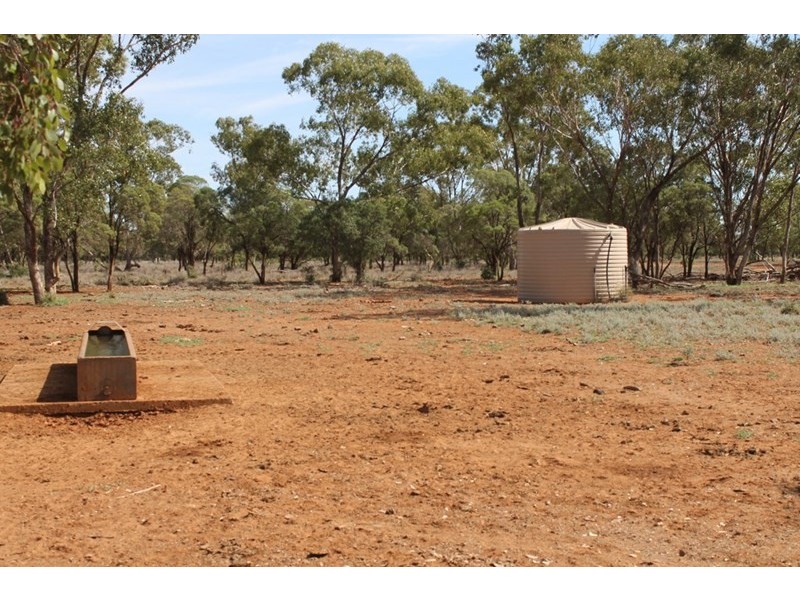 . HONEYMAH Lane, Dirranbandi QLD 4486