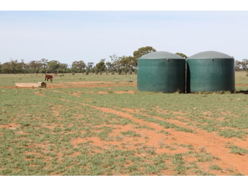 . HONEYMAH Lane, Dirranbandi QLD 4486