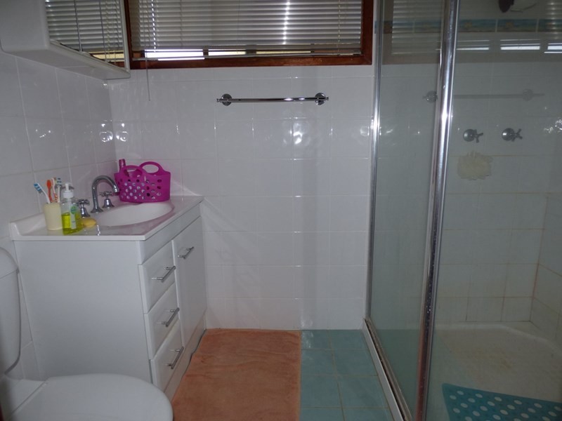 84 Alfred Street, St George QLD 4487