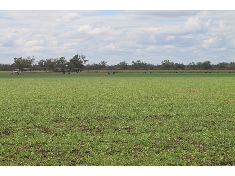 LOT 11 INGABY Road, St George QLD 4487