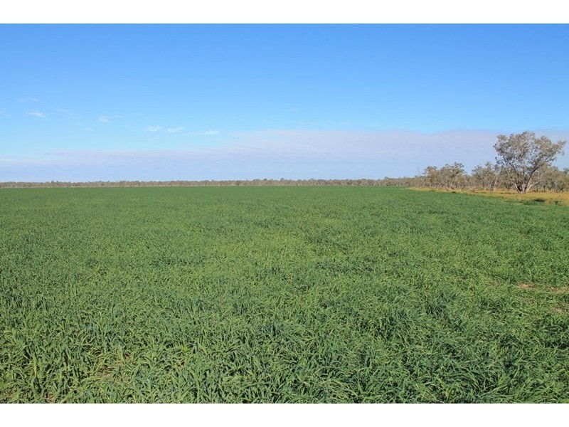 LOT 11 INGABY Road, St George QLD 4487