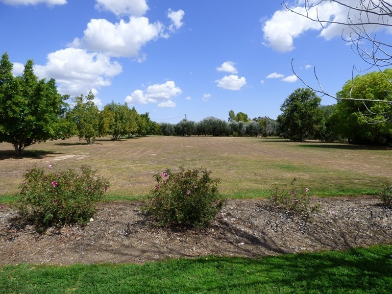 12567 Paltridge Road, St George QLD 4487