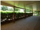 12 JE Kelly Road, St George QLD 4487