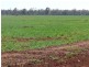 Cheriton 00, St George QLD 4487