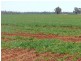 Cheriton 00, St George QLD 4487