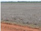 Cheriton 00, St George QLD 4487