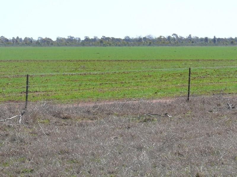 Cheriton 00, St George QLD 4487