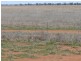 Cheriton 00, St George QLD 4487