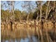 LOT 3 Carnarvon Highway, St George QLD 4487