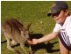 LOT 3 Carnarvon Highway, St George QLD 4487