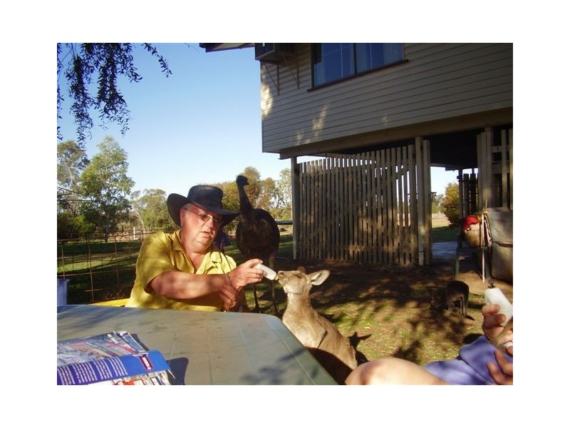 LOT 3 Carnarvon Highway, St George QLD 4487