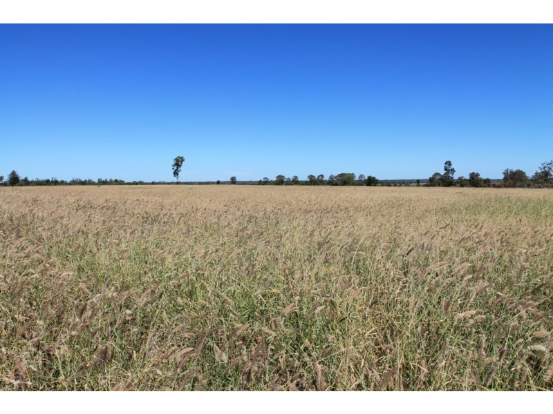 3054 KYILLA Road, Glenmorgan QLD 4423