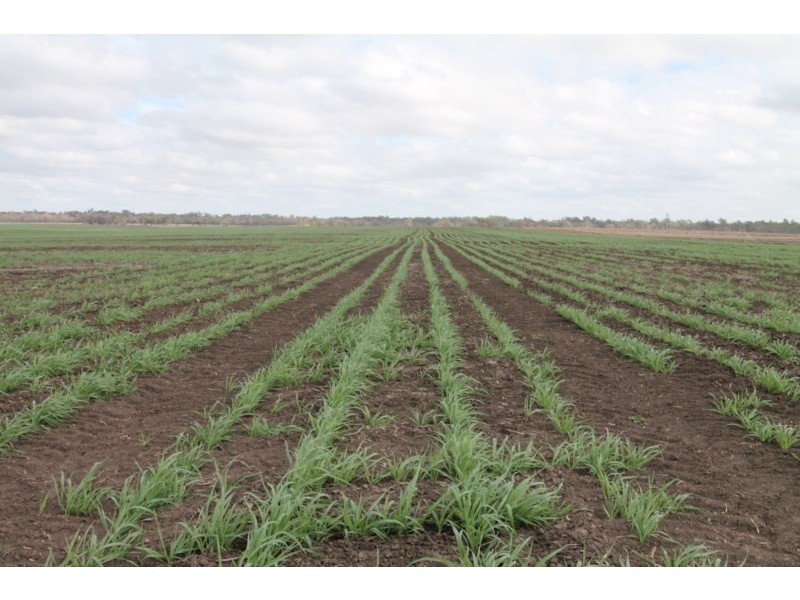 3054 KYILLA Road, Glenmorgan QLD 4423