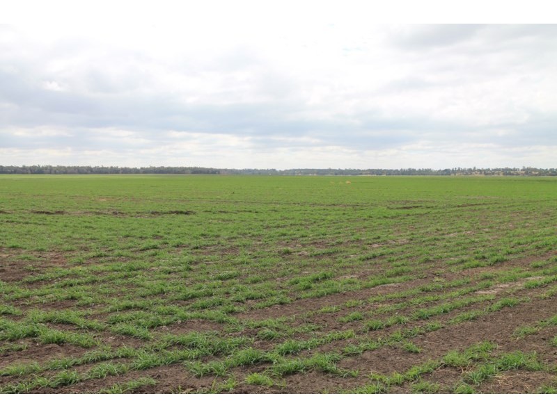 3054 KYILLA Road, Glenmorgan QLD 4423