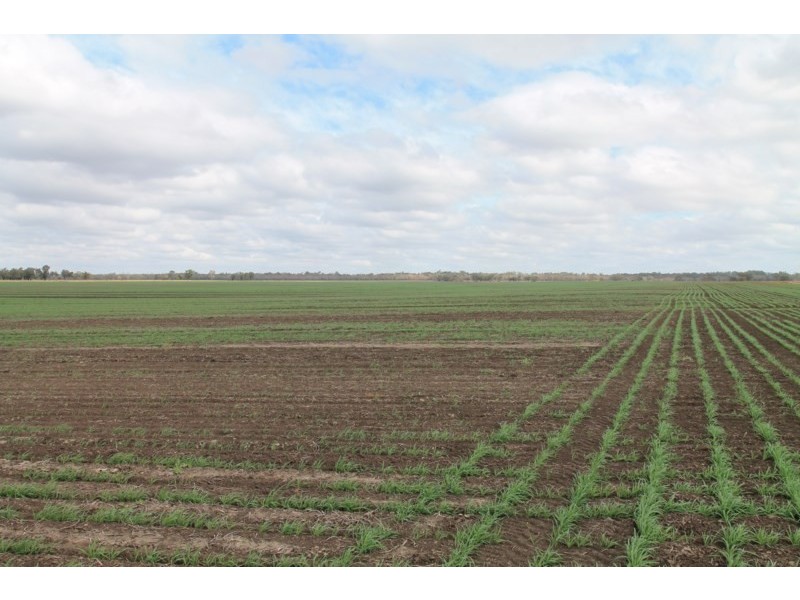 3054 KYILLA Road, Glenmorgan QLD 4423