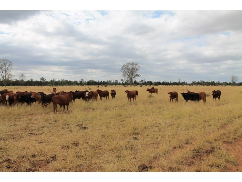 3054 KYILLA Road, Glenmorgan QLD 4423