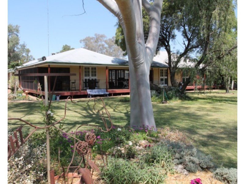 410 Booligar Road, Dirranbandi QLD 4486