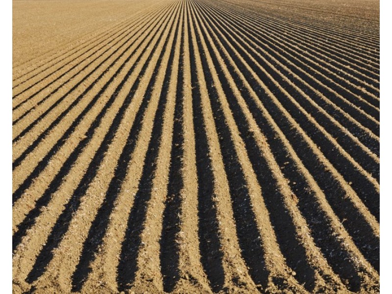 410 Booligar Road, Dirranbandi QLD 4486