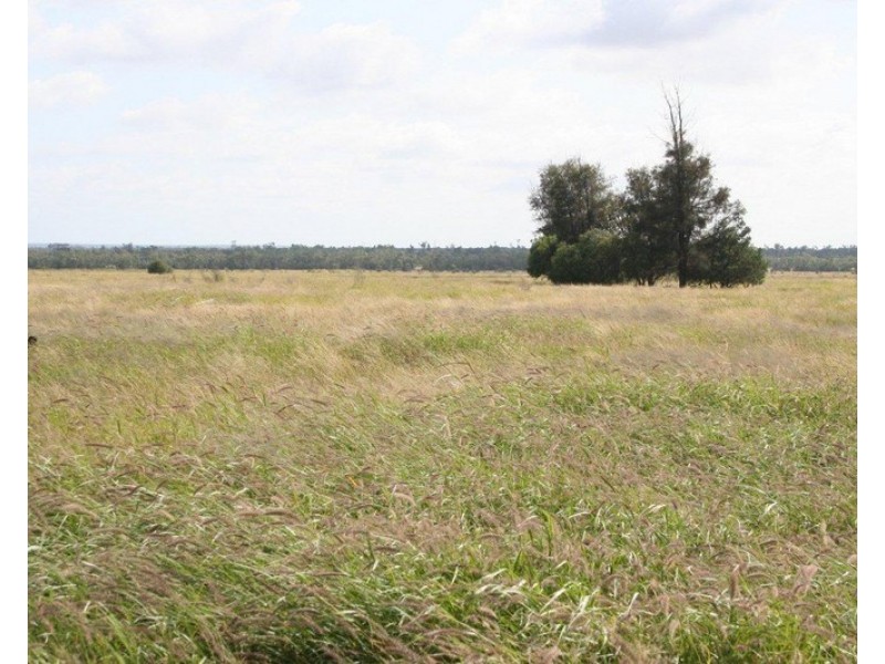 “ALTONVALE” MOONIE Highway, St George QLD 4487