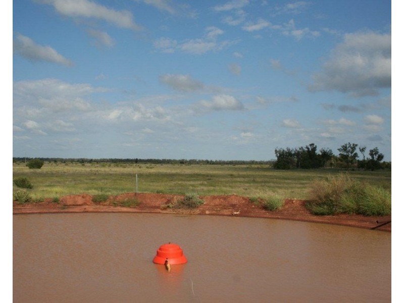 “ALTONVALE” MOONIE Highway, St George QLD 4487