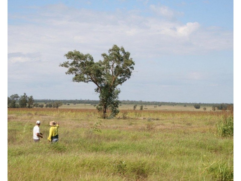 “ALTONVALE” MOONIE Highway, St George QLD 4487