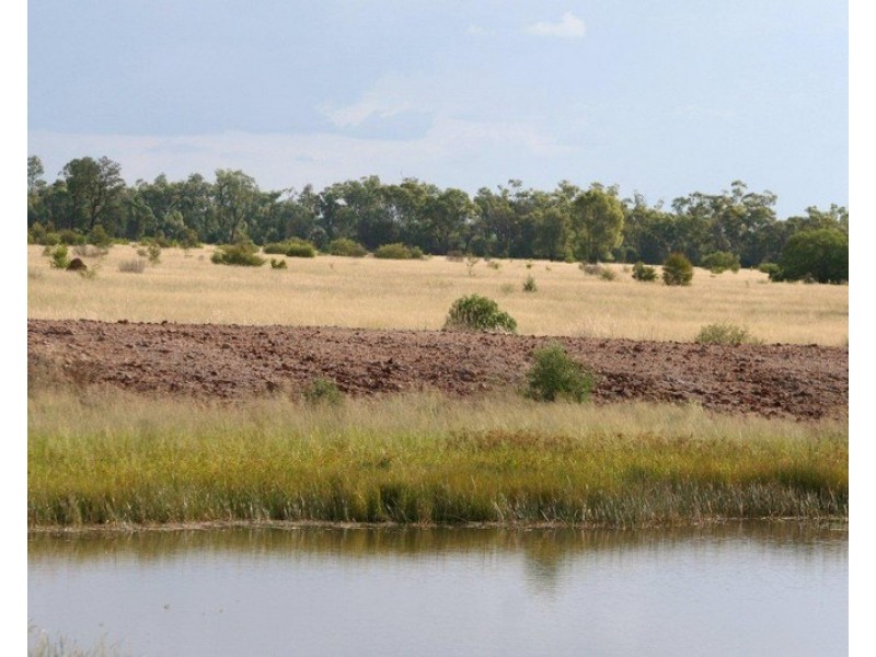 “ALTONVALE” MOONIE Highway, St George QLD 4487