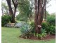 “ALTONVALE” MOONIE Highway, St George QLD 4487