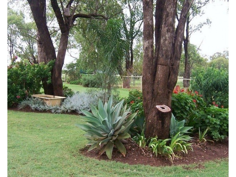 “ALTONVALE” MOONIE Highway, St George QLD 4487