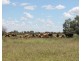 23365 MOONIE Highway, St George QLD 4487