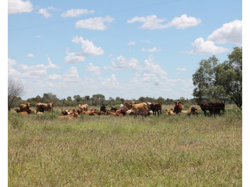 23365 MOONIE Highway, St George QLD 4487