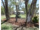 23365 MOONIE Highway, St George QLD 4487