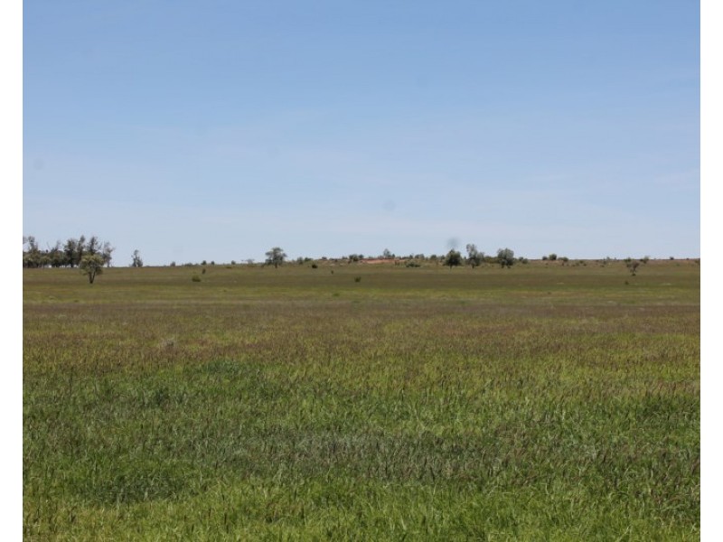 4895 TEELBA Road, Glenmorgan QLD 4423