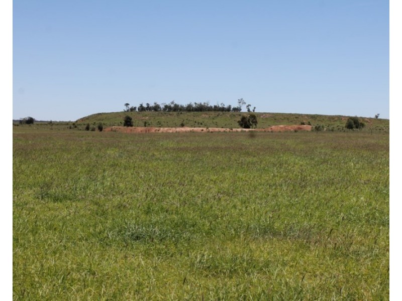 4895 TEELBA Road, Glenmorgan QLD 4423