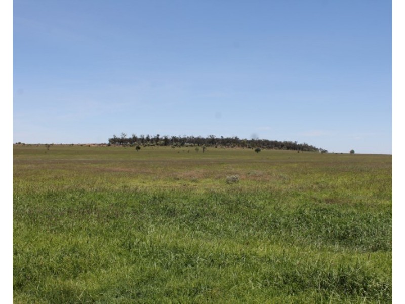 4895 TEELBA Road, Glenmorgan QLD 4423