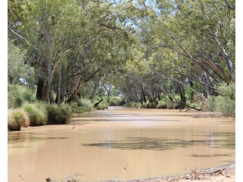 4895 TEELBA Road, Glenmorgan QLD 4423