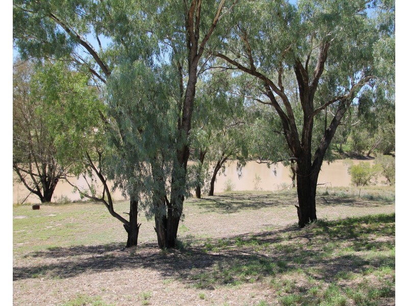 117 WHYENBAH Road, St George QLD 4487