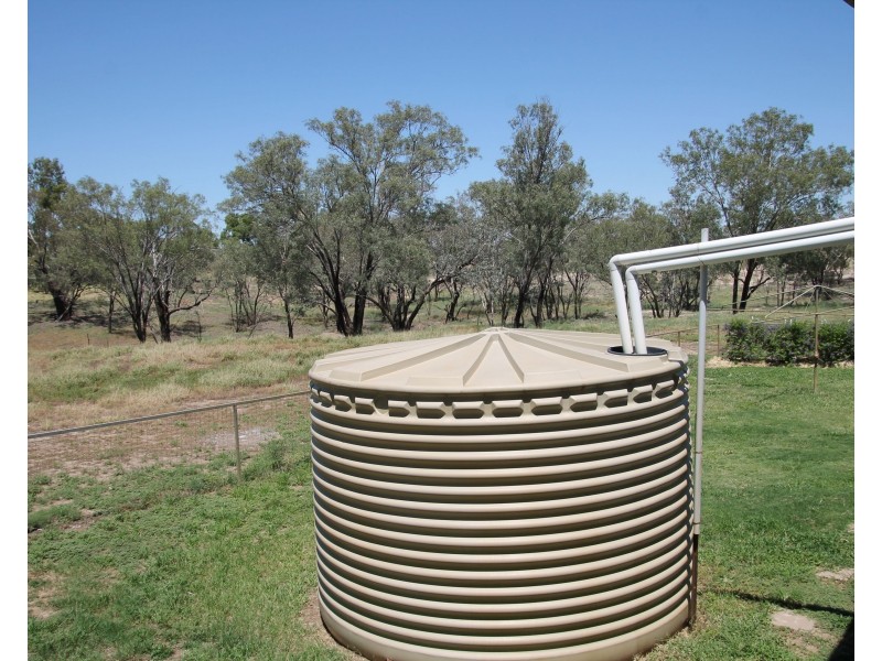 117 WHYENBAH Road, St George QLD 4487